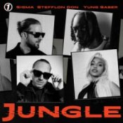 Обкладинка Sigma & Stefflon Don & Yung Saber – Jungle