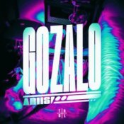 Обкладинка Ariis – GOZALO (Ultra Slowed)
