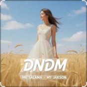 Слухати Mr Salama, DNDM – My Jakson