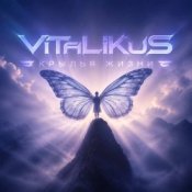 Обкладинка ViTaLiKuS – Крылья жизни