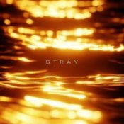 Обкладинка R3DN1K – Stray