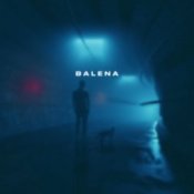 Обкладинка skyfall beats – balena