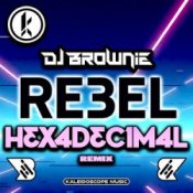 Обкладинка DJ Brownie – Rebel (Hexadecimal Remix)