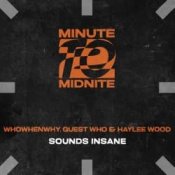 Обкладинка WHOWHENWHY, Guest Who & Haylee Wood – Sounds Insane (Extended Mix)