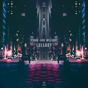 Обкладинка R3hab & Mike Williams – Lullaby