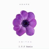Обкладинка Agape – Квітка (I.T.F Remix)