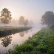 Обкладинка Сергей Видов – Родина