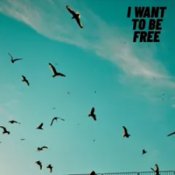 Обкладинка Roberto Pedoto – I Want To Be Free