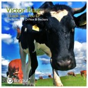 Обкладинка Victor Ruiz – I Look Into You