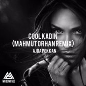 Обкладинка Ajda Pekkan – Cool Kadın (Mahmut Orhan Remix)