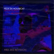 Обкладинка Felix Da Housecat – What She Wants