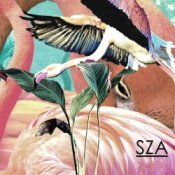 Обкладинка SZA – Castles