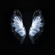 Слухати Whales – Believe