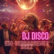 Обкладинка DJ Disco – Ein gebrochenes Herz