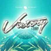 Обкладинка Sound Remedy – Summer Was Fun