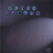 Обкладинка Wagon Christ – Sopping Shitty