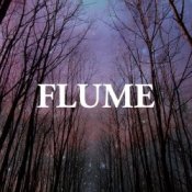 Обкладинка Flume – Sleepless (Feat. Anthony For Cleopatra)