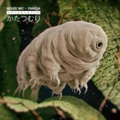 Обкладинка Noize MC – Катацумури