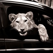 Обкладинка MACAN & Kiliana – Спокойной ночи