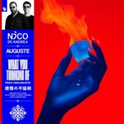 Обкладинка Nico de Andrea & AUGUSTE & Mougleta – What You Thinking Of