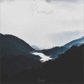 Обкладинка Nomyn – Promise