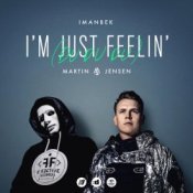 Обкладинка Imanbek – Summertime Sadness
