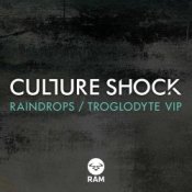 Обкладинка Culture Shock – Raindrops