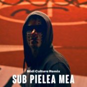 Обкладинка Carla`s Dreams – Sub pielea mea (Midi Culture Remix)