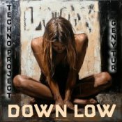 Обкладинка Techno Project & Geny Tur – Down Low