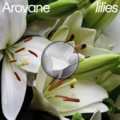 Обкладинка Arovane – Pink Lilies