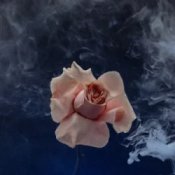 Обкладинка Valeriia Vovk – Сигарети