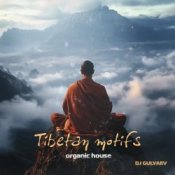 Обкладинка DJ GULYAEV – Tibetan motifs