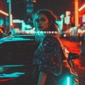 Обкладинка skyfall beats, AXTRAL INDEX – paranoided