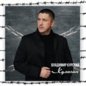 Обкладинка Владимир Курский – Судьба воров