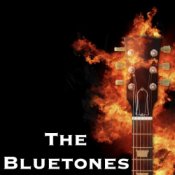 Обкладинка The Bluetones – String Along