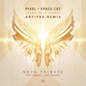 Слухати Pixel Vs Space Cat – Clear Test Signal (Astrix Rmx)