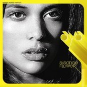 Обкладинка Aya – Lullaby for Stephen