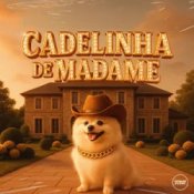 Слухати Zé Da Vea & DJ DUARTE & DJ TS & Mc Gw & Pollini – Cadelinha De Madame (Remix) (feat. Prime Funk)