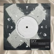 Обкладинка HUGEL & Vidojean, Oliver Loenn, Mr Alameyo – SXY