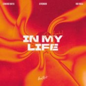 Обкладинка Edward Maya & AFRONOM & vidi roca – In My Life (Oh Ayah)