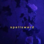 Обкладинка Spellsword – Portals