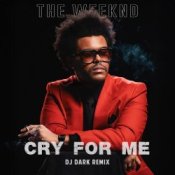 Обкладинка The Weeknd – Cry For Me (Dj Dark Remix)